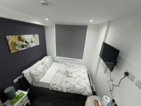 Beautiful and Cosy Double Ensuite Room